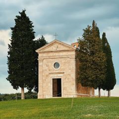 il pomodorino張用戶圖片