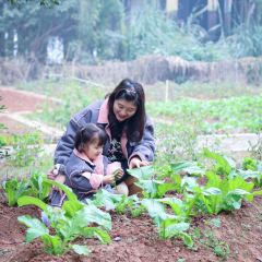 简阳三岔湖长岛天堂洲际酒店·龙轩中餐厅 User Photo