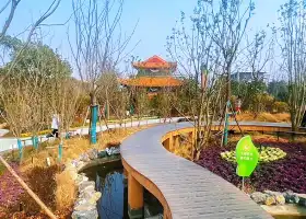 駱崗中央公園