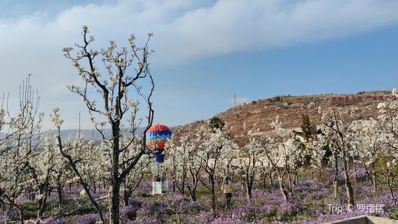 Huahai Guoxiang Tourist Scenic Area, Hanyuan County, Ya'an City