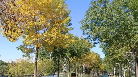 Taibai Lake Scenic Area attraction in Jining