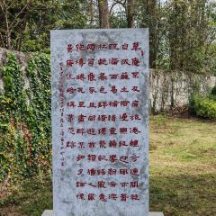 丹寨石桥纸居民宿·百节之乡花园餐厅 User Photo