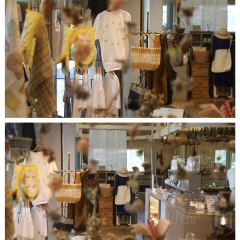 Paper Moon User Photo