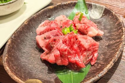 Kyoto Kaiseki Yakiniku (BBQ) HIRO Gion Yamana-an