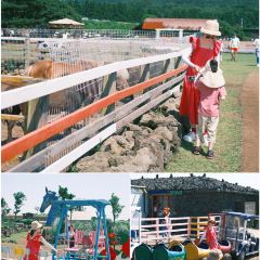 Noraba User Photo