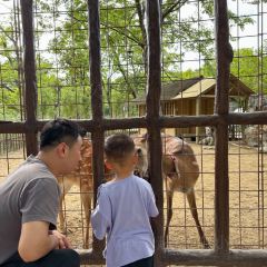 烤包子咖啡屋·洋食 User Photo