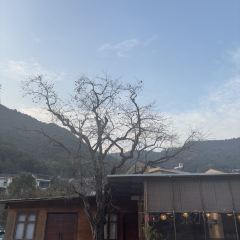 荣村农家乐 User Photo