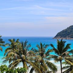 Mare Nero - The Taaras Redang User Photo