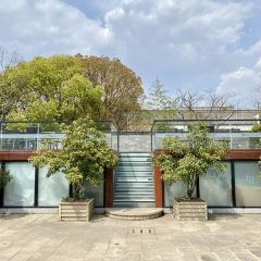 冯家花园 User Photo