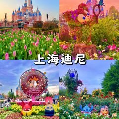 Xishuangbanna User Photo