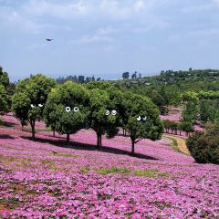 青枫浦餐厅 User Photo