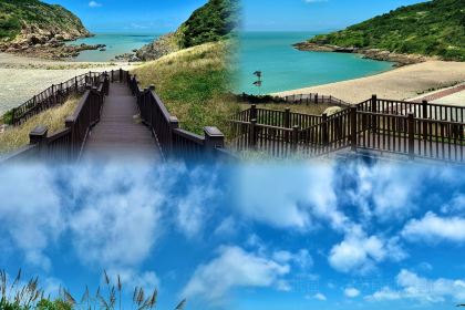 紫阳九九海苔饼