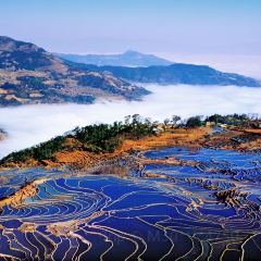 SA MA BA 여행 사진