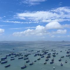 鱼当家 User Photo