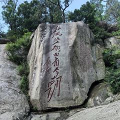 國華糝館張用戶圖片