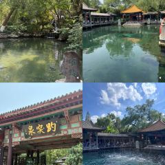 千西侯记煎饼(千佛山西路店) User Photo