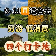 秀嫂撻粿張用戶圖片