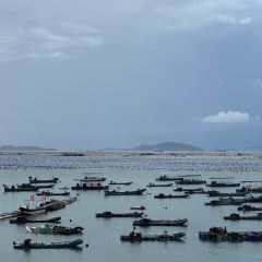 Sheng Ji Guan Tang Niu Rou User Photo