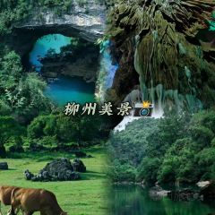 韋韋木薯羹張用戶圖片