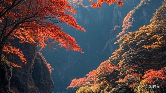 mi cang shan xiang lu shan jing qu