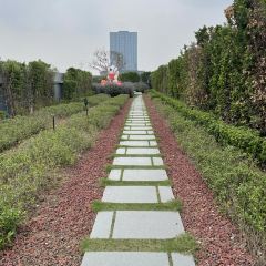 龍鳳麵館張用戶圖片