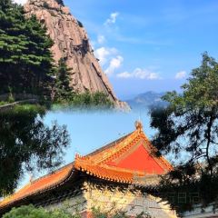 Guo hua san guan User Photo