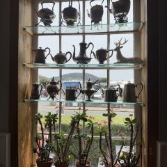 Czegs' Cafe 여행 사진