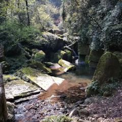 熊猫主题餐厅 User Photo