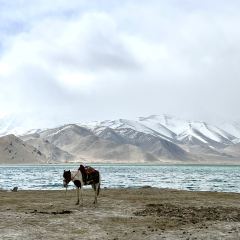 MUYUN  RESTAURANT User Photo