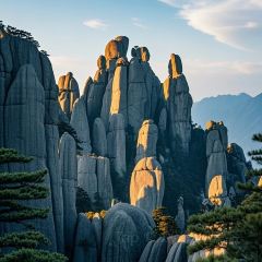 ZHENGLIANG SEAFOOD User Photo