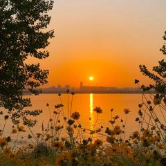 PURPLE MOUNTAIN GARDEN User Photo