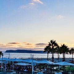 Seneca Trattoria張用戶圖片