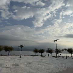 西波魚莊張用戶圖片