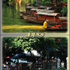 FengCheng ShuangPi Nai User Photo