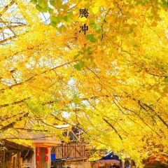 鸟鸣涧野生菌森林餐厅 여행 사진