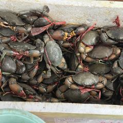 瑞丽活螃蟹(芒市店) User Photo