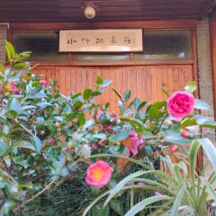 小竹林 User Photo
