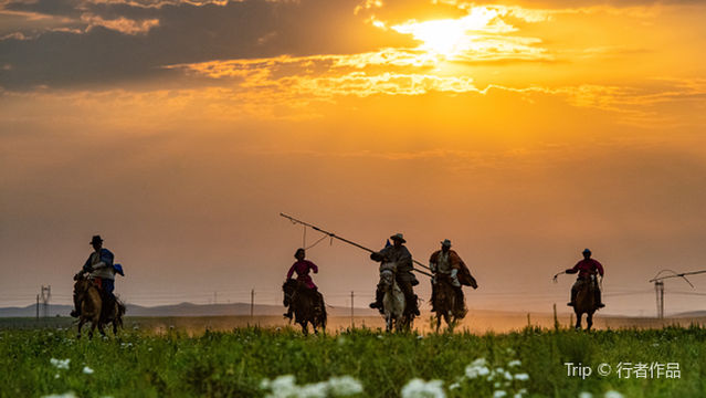 feng huang ma chang ( xi lin guo le sai ma chang dian )