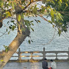 SIXTEEN COFFEE User Photo