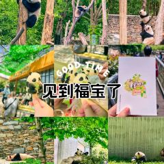 耿达镇 User Photo