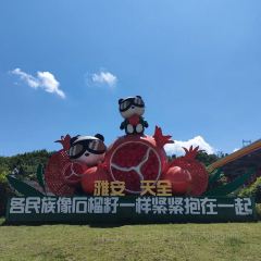 肯德基(天全服务区店) User Photo