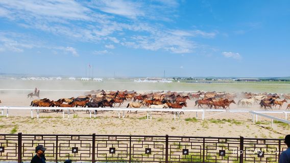 Royal Horse Court, Taipu Temple