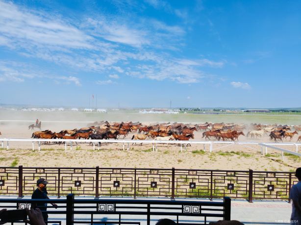 Taibus Imperial Horse Garden Tourist Area