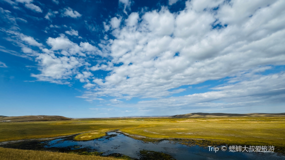Inner Mongolia Prairie