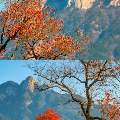 Sage Hall Homestay User Photo