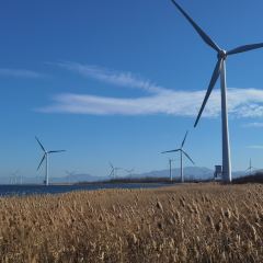 观湖台 User Photo