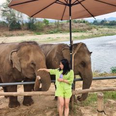 Elely Cafe’ แอลลี่ คาเฟ่張用戶圖片