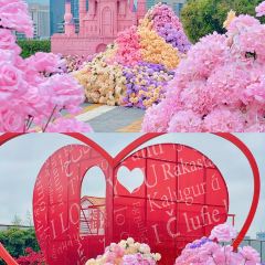 綠茶餐廳(東百中心店)張用戶圖片