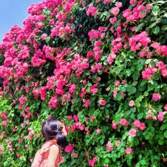 云间花境餐厅 User Photo