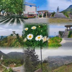 秀容油卷面 User Photo